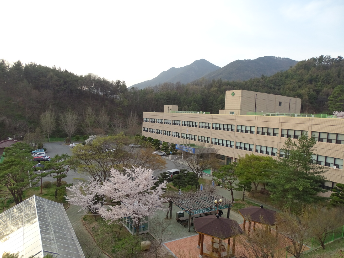 본관전경(봄)